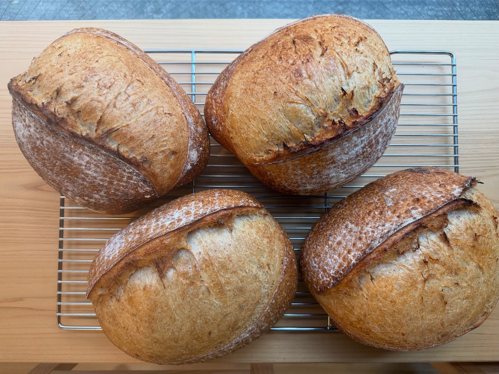 Freshly Baked Sourdough Loaves